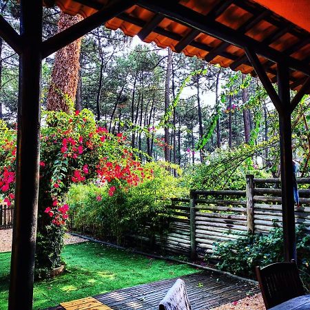 Dolphin Aroeira Beach Villa ชาร์เนกา ภายนอก รูปภาพ
