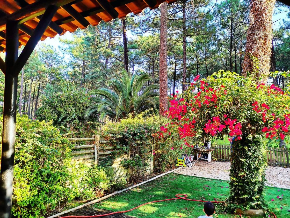 Dolphin Aroeira Beach Villa ชาร์เนกา ภายนอก รูปภาพ