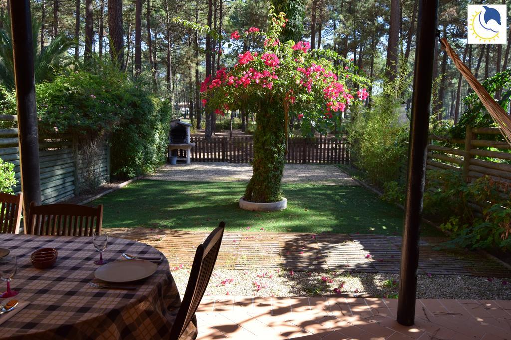 Dolphin Aroeira Beach Villa ชาร์เนกา ภายนอก รูปภาพ